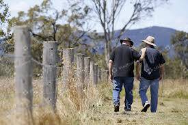 Paddock Fence